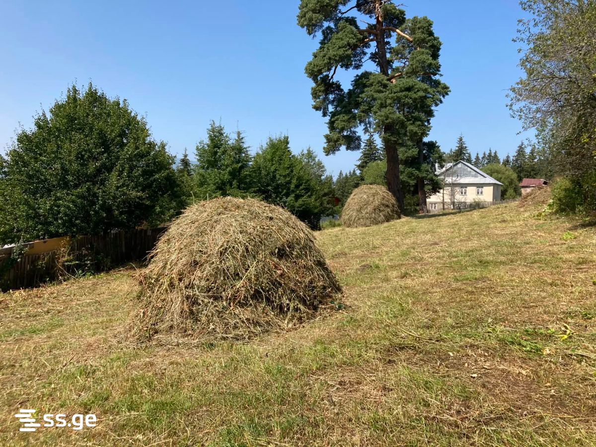 Land For Sale. Bakuriani view 4