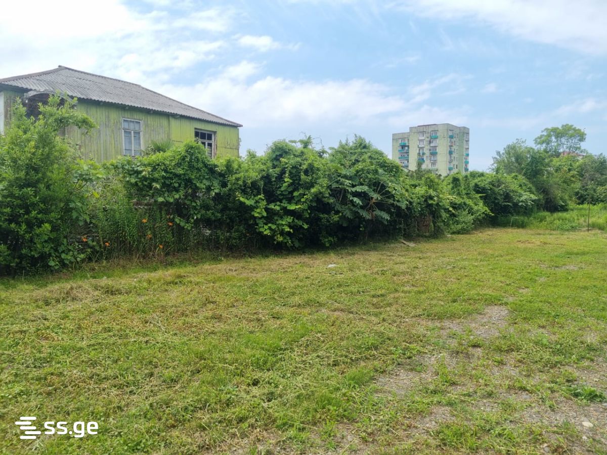 Land For Sale. Poti view 3