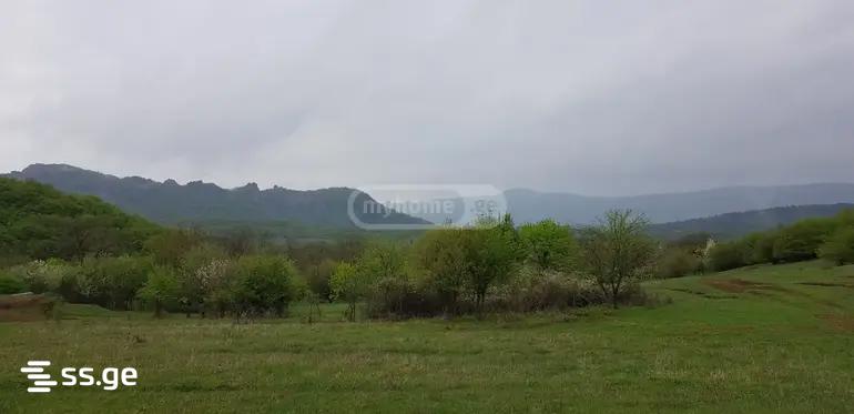 Land For Sale. Orbeti view 1