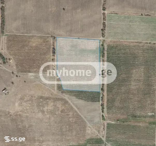 Продажа Земля в сагареджо view 1