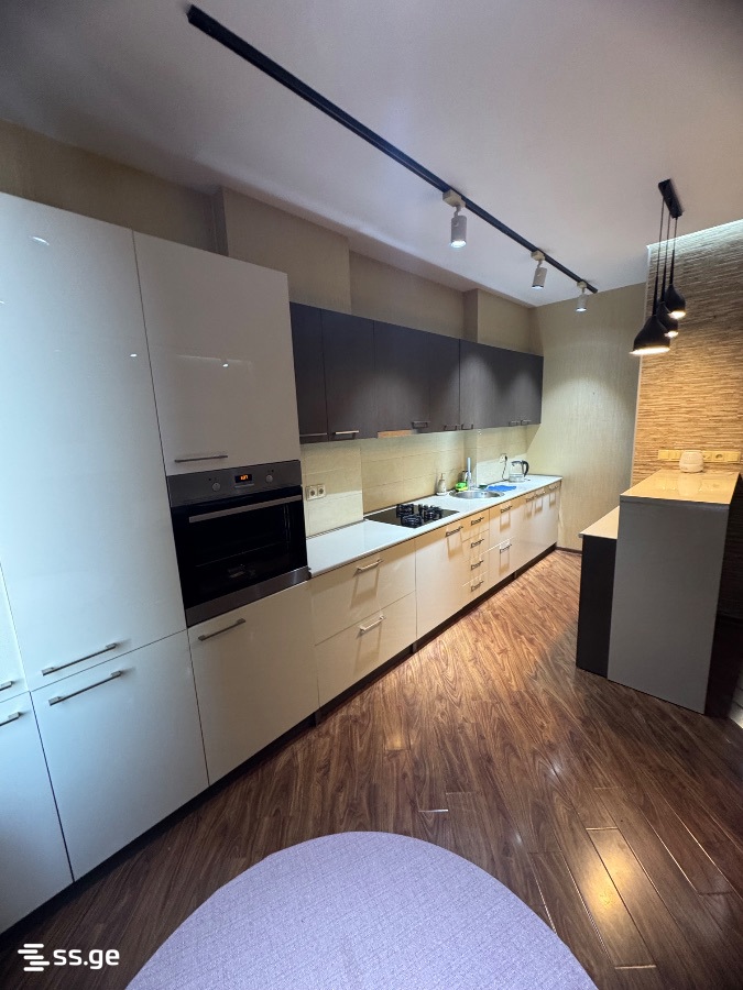 2 room Flat Daily rent. Isani - Ansicht 6