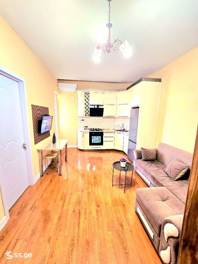 3 Room Flat For Rent. Kutaisi view 4