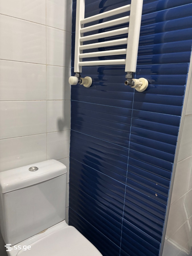1 Room Flat Daily Rent. Chugureti, 4 of 9