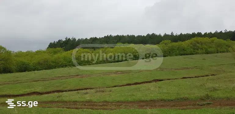 Land For Sale. Orbeti view 5