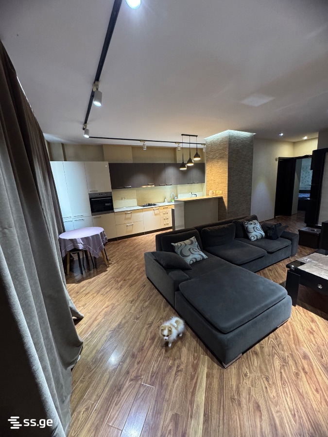 2 room Flat Daily rent. Isani - Ansicht 3