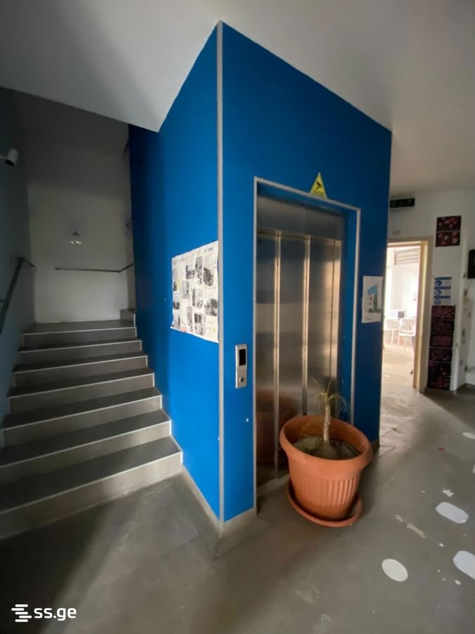 Commercial Space For Sale. Saguramo view 2