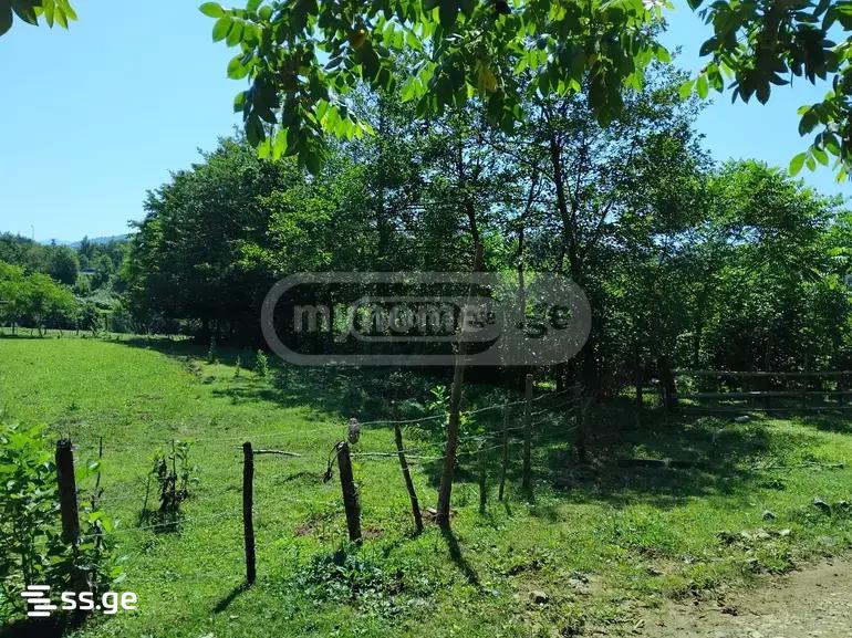 Land For Sale. Tsikhisdziri view 5