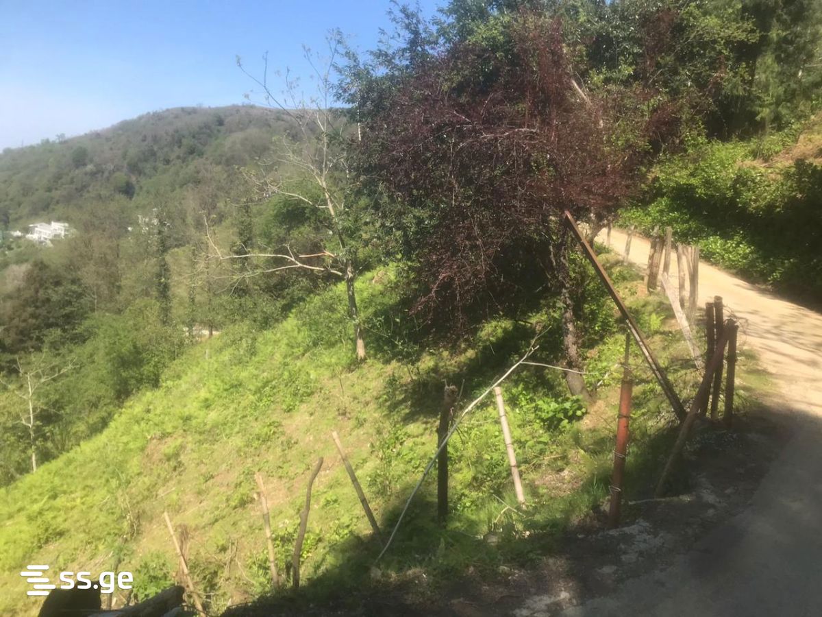 Land For Sale. Kvariati view 3