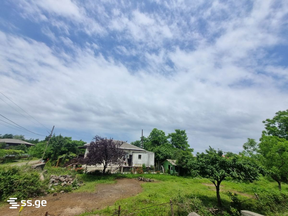Land For Sale. Poti view 4