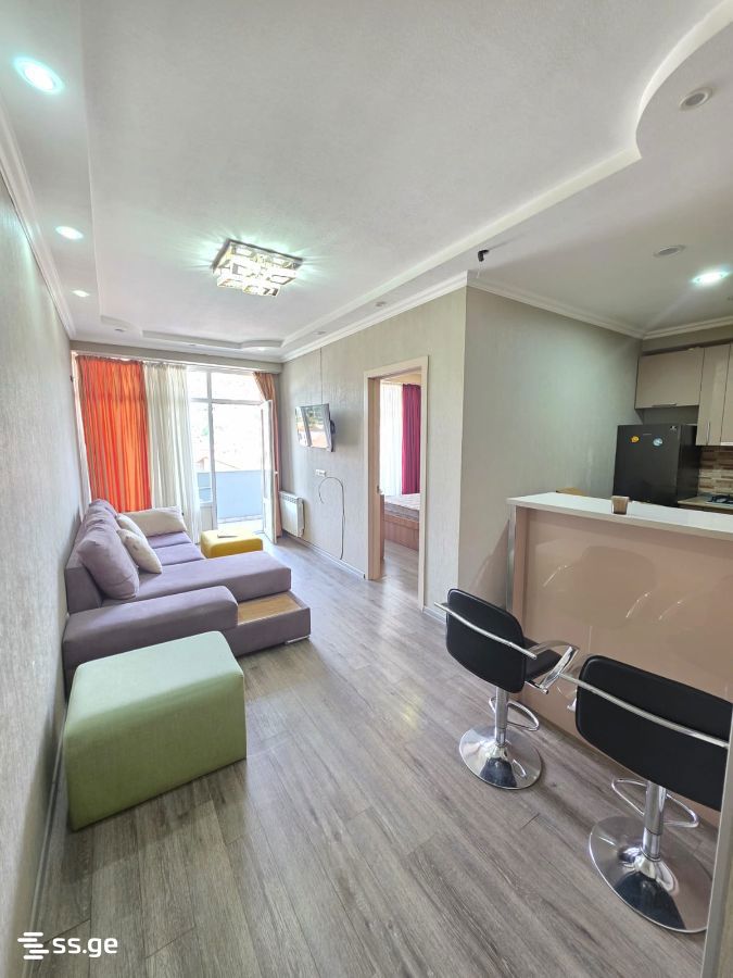 2 room Flat For Rent. Nadzaladevi - Widok 4