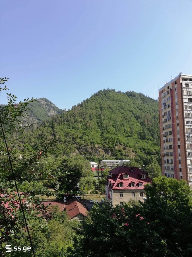 3 Room Private House Daily Rent. Borjomi view 6