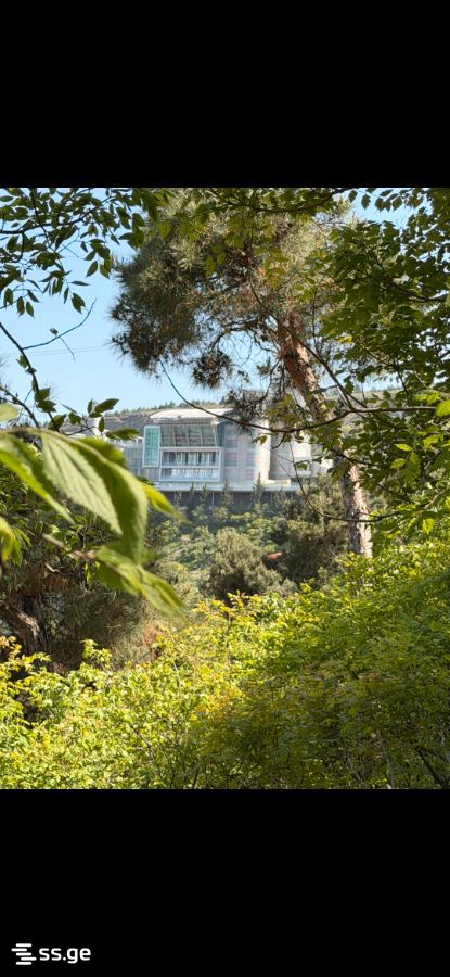 Land For Sale. Sololaki view 7