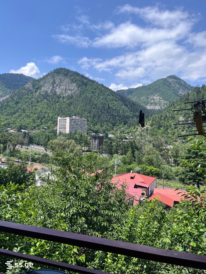 3 Room Private House Daily Rent. Borjomi view 8