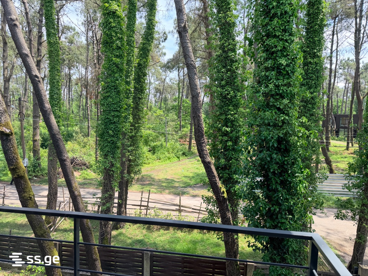 4 Room Private House Daily Rent. Shekvetili view 3