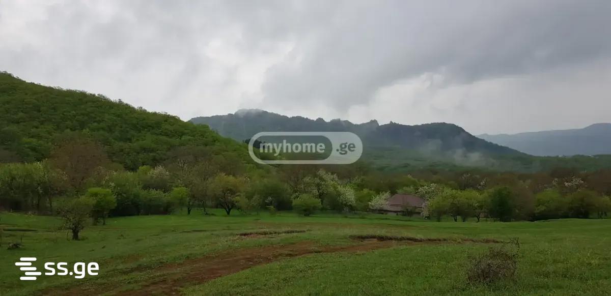Land For Sale. Orbeti view 3