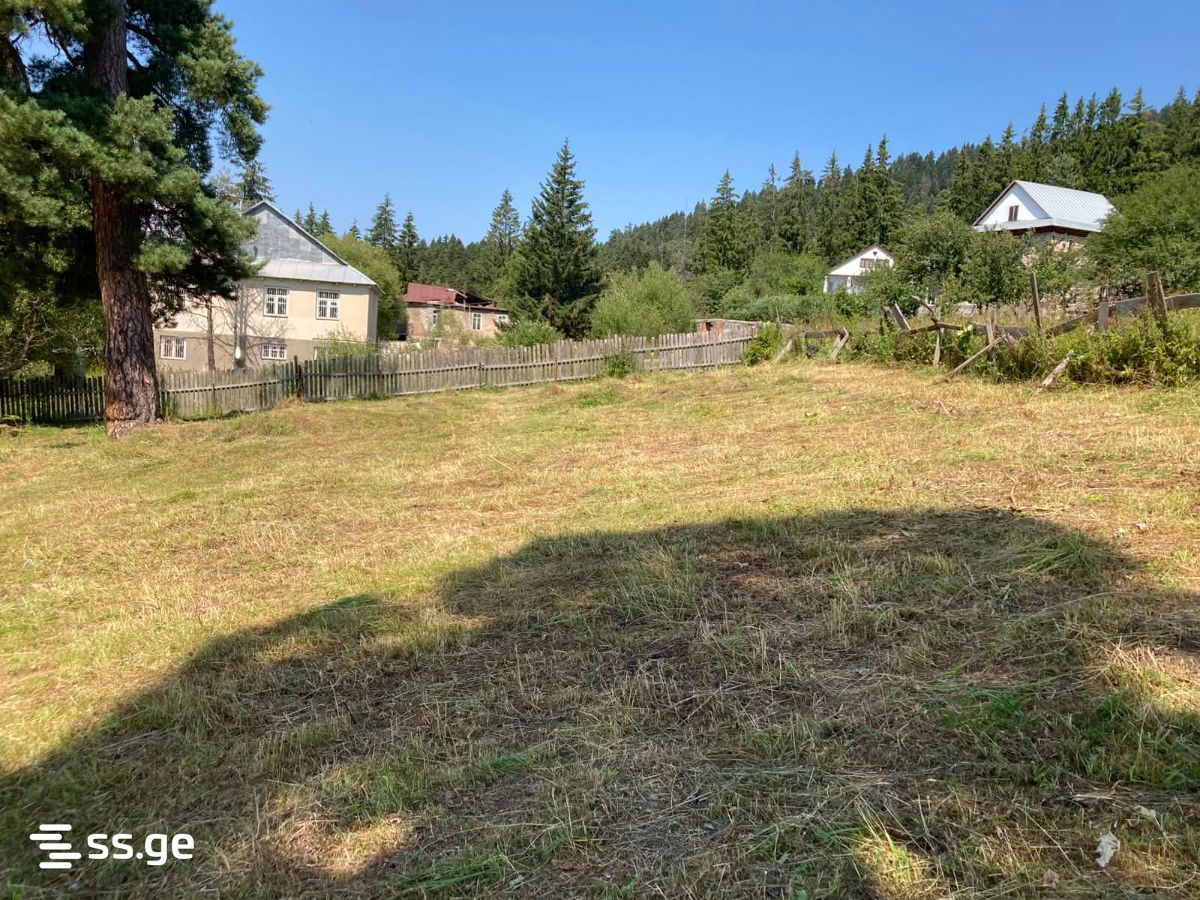 Land For Sale. Bakuriani view 7