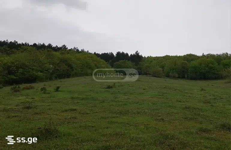 Land For Sale. Orbeti view 8