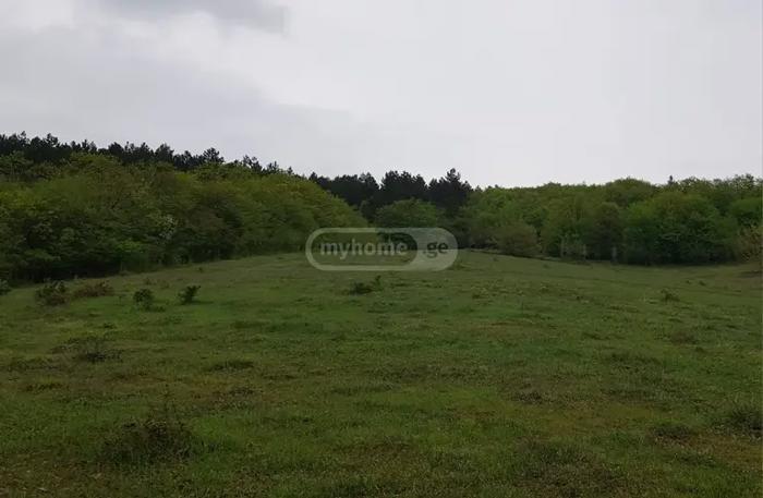 https://static.ss.ge/20260623/7_6d688d3e-7a8f-4a22-a025-466a35b8bca7_Thumb.jpg