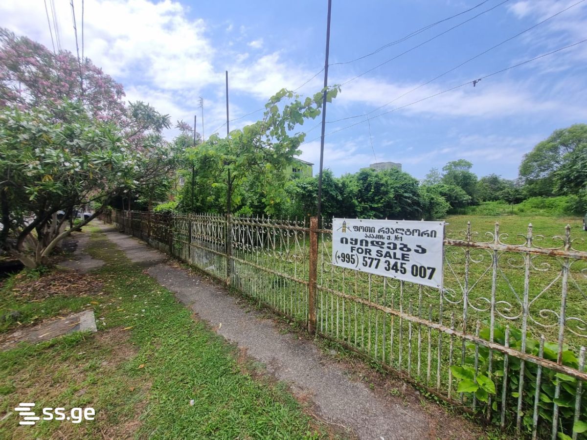 Land For Sale. Poti view 1