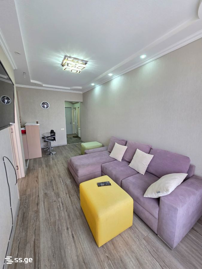 2 room Flat For Rent. Nadzaladevi - Widok 3