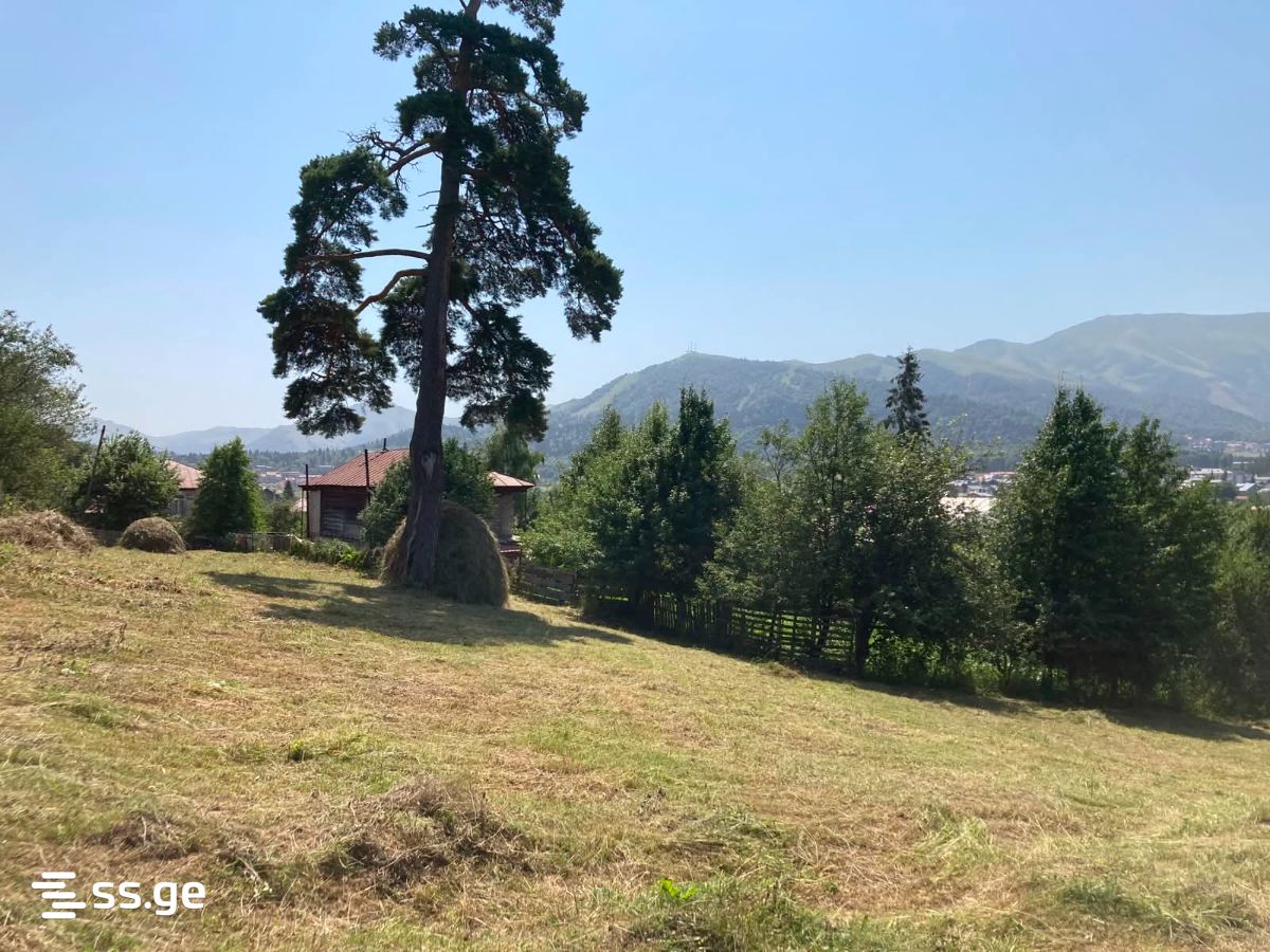 Land For Sale. Bakuriani view 1
