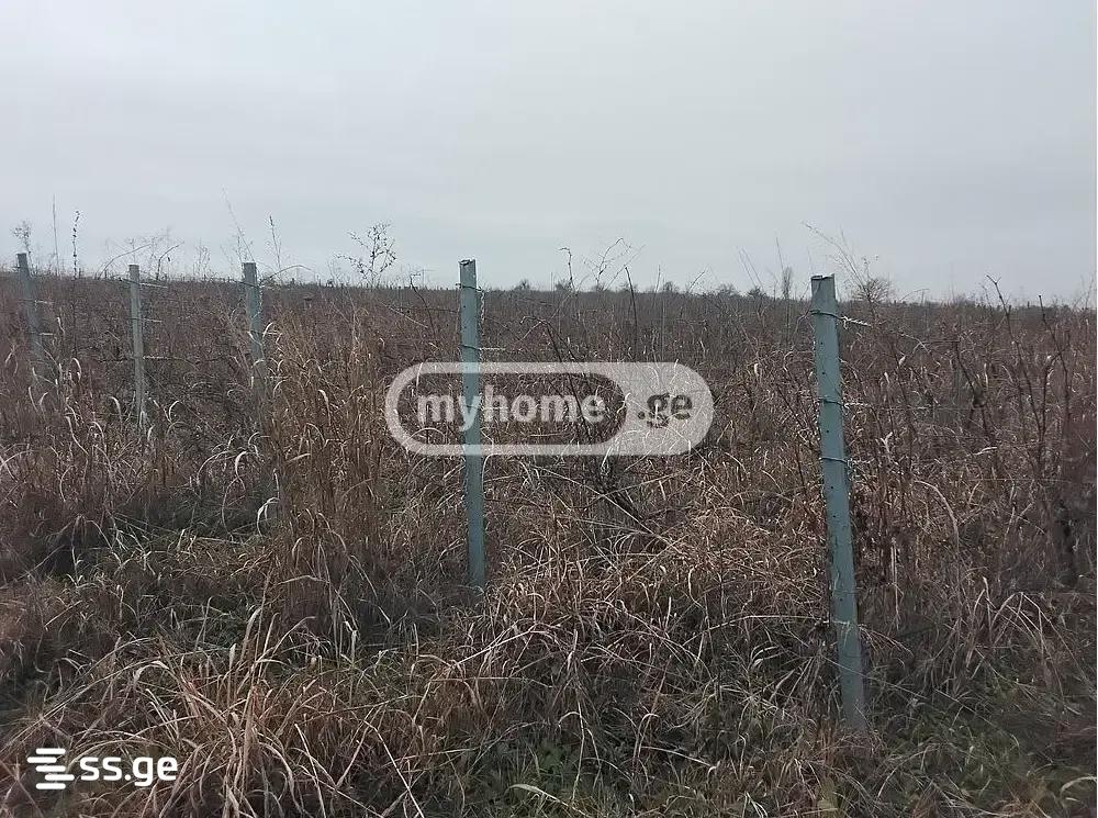 Продажа Земля в сагареджо view 2