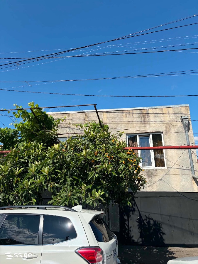Private House For Sale. Nadzaladevi, 2 of 4