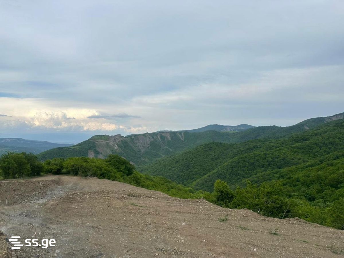 Land For Sale. Orbeti view 6