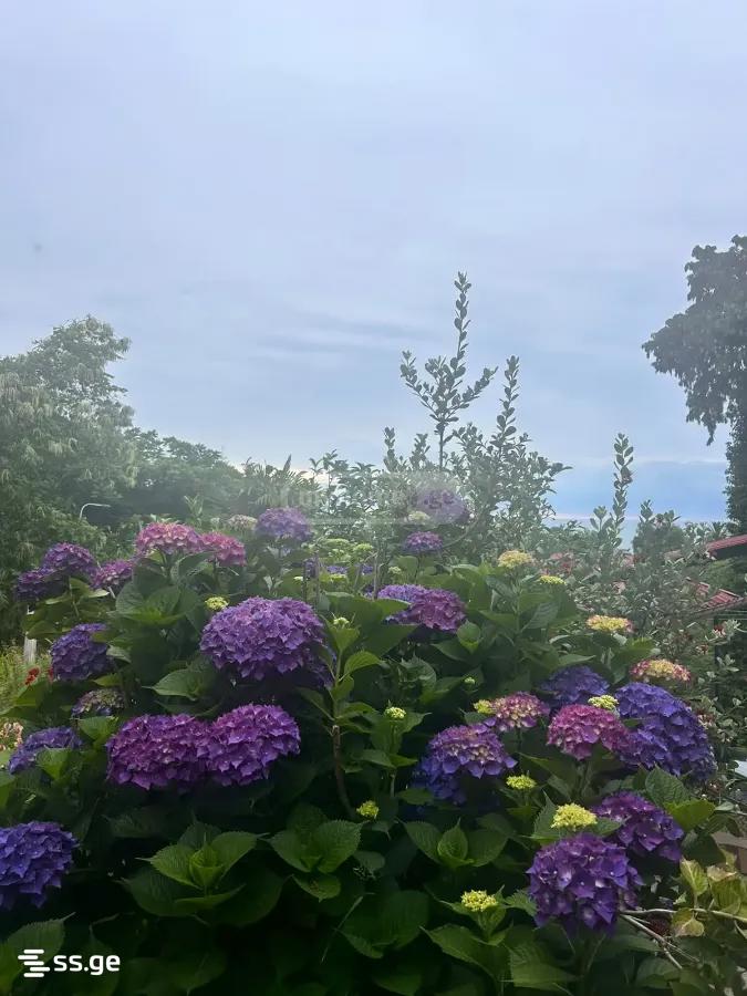 For Rent 1 Room Apartment view 20