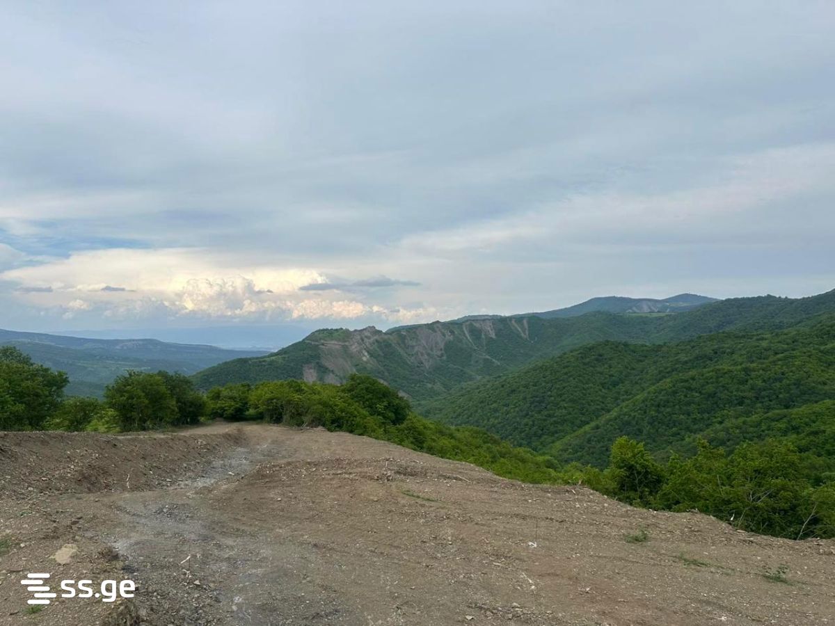 Land For Sale. Orbeti view 12