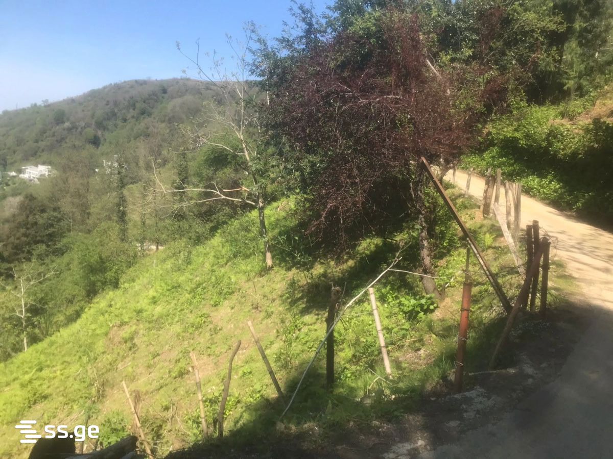Land For Sale. Gonio view 7
