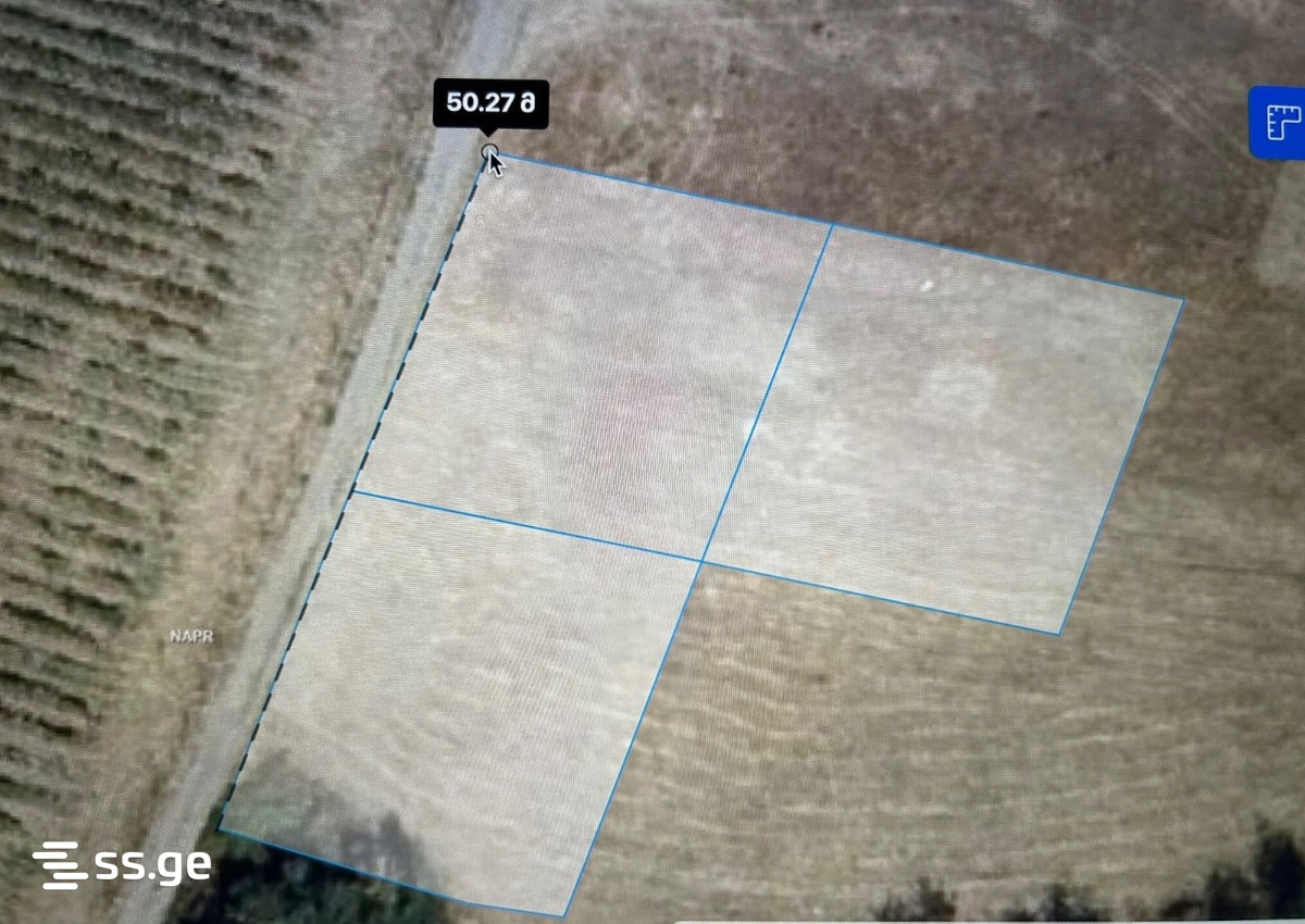 Land For Sale. Telavi, 3 of 4