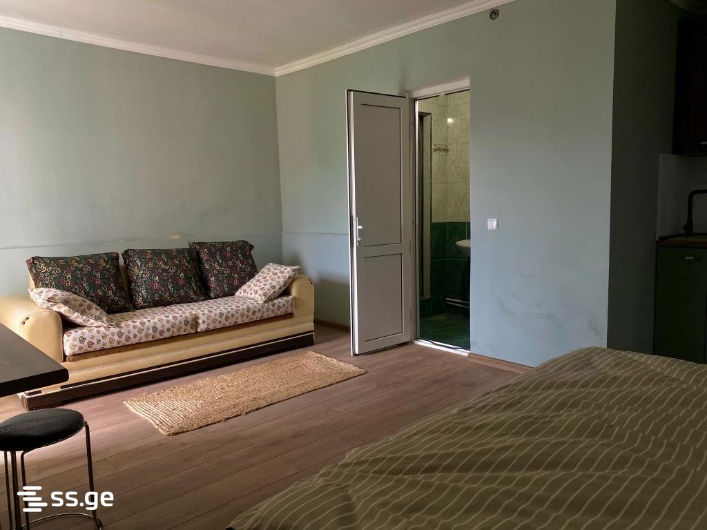 1 Room Private House Daily Rent. Kazbegi view 10