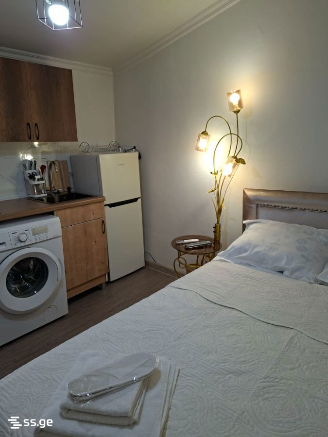 1 Room Private House Daily Rent. Avlabari view 1