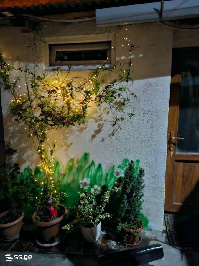 1 Room Private House Daily Rent. Avlabari view 3