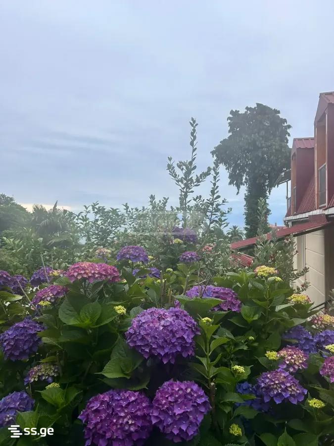 For Rent 1 Room Apartment view 21