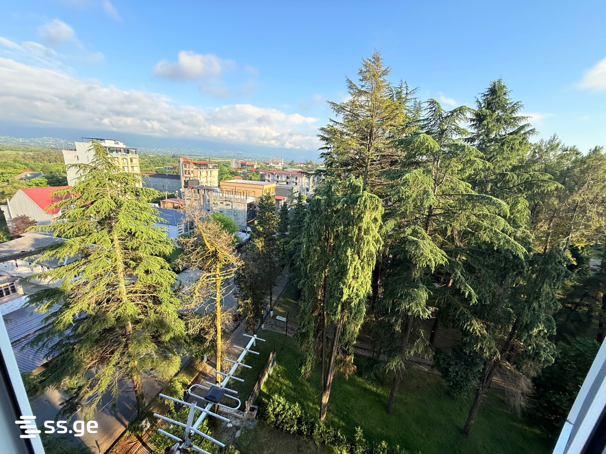 1 Room Flat For Sale view 5