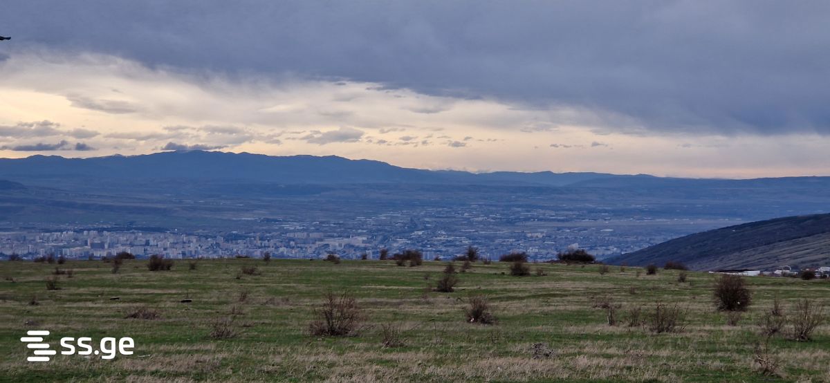 იყიდება მიწა წავკისიში view 1