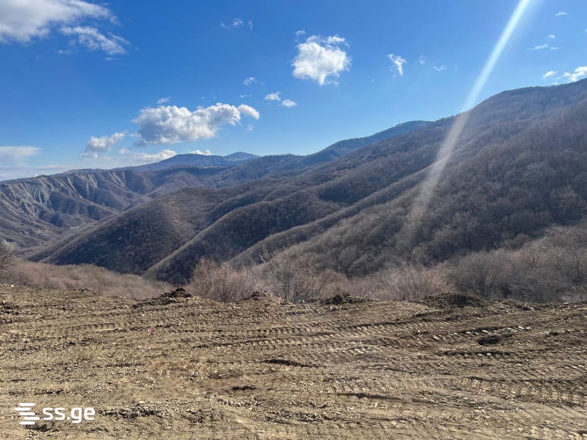 Land For Sale. Orbeti view 3