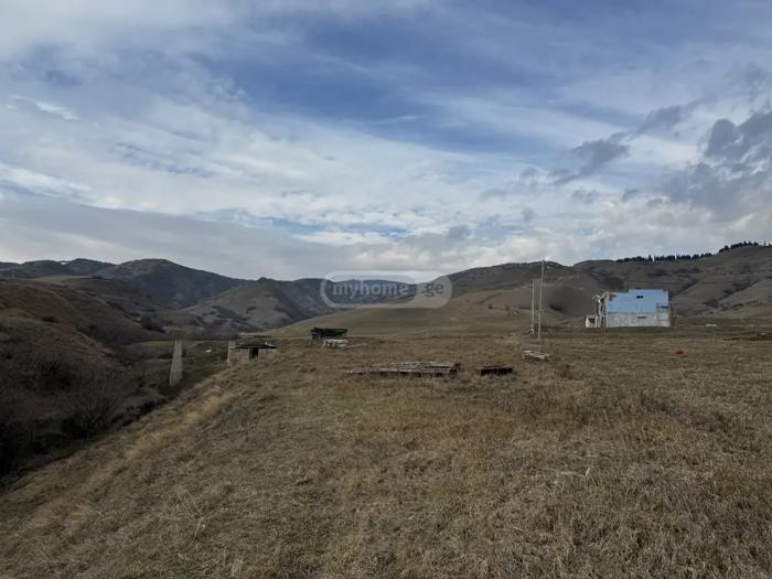 https://static.ss.ge/20260624/1_881ca37a-3020-4ef8-9979-c3323ba79089_Thumb.jpg