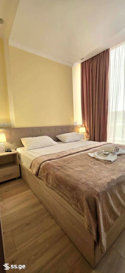 Hotel For Sale. Sololaki view 6