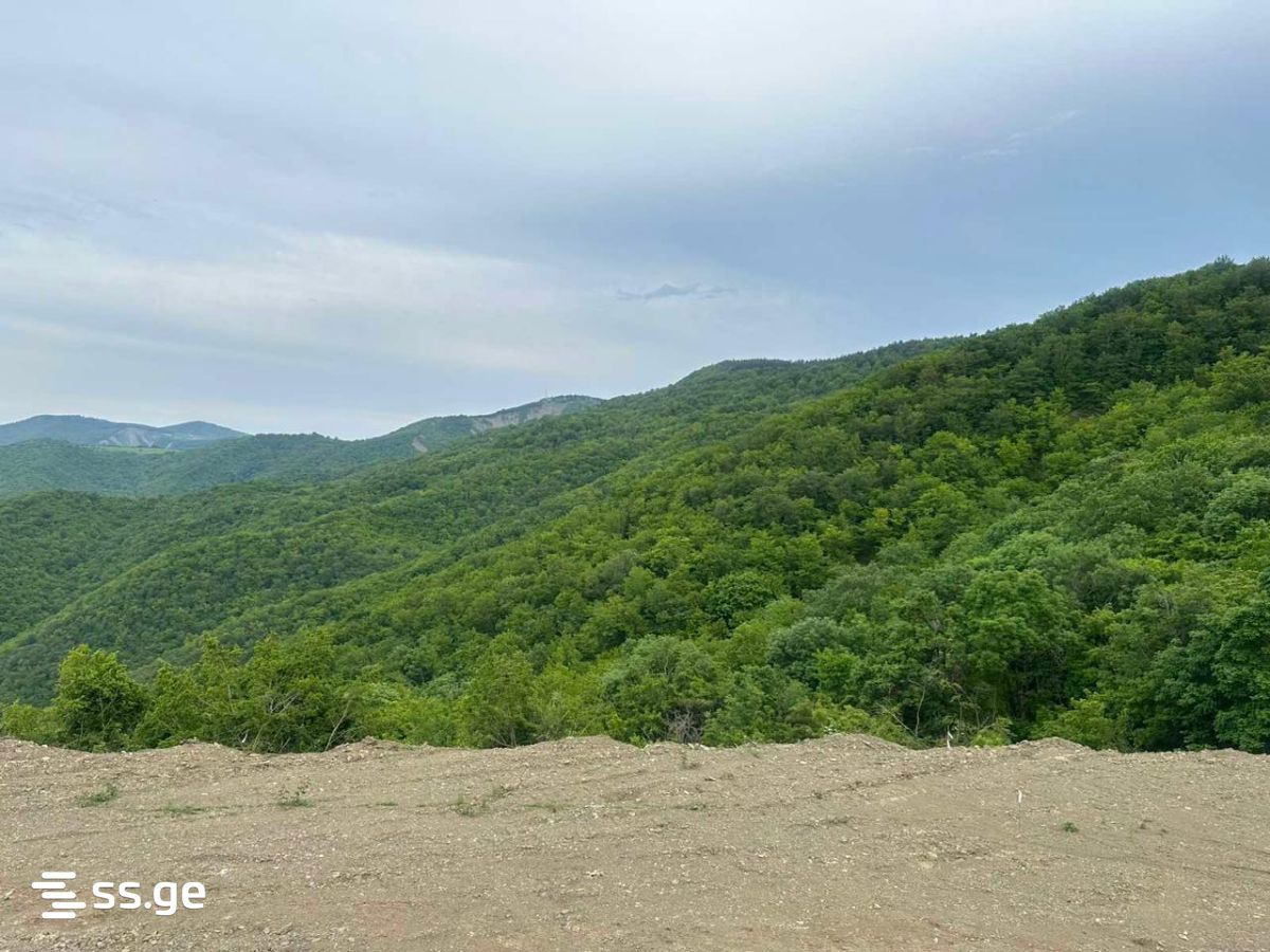 Land For Sale. Orbeti view 2