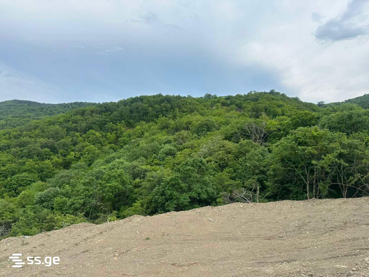 Land For Sale. Orbeti view 8