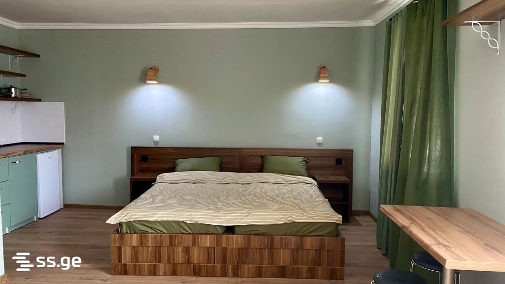 1 Room Private House Daily Rent. Kazbegi view 3
