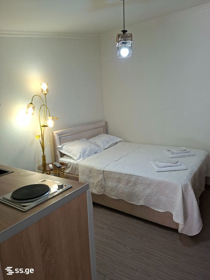 1 Room Private House Daily Rent. Avlabari view 2