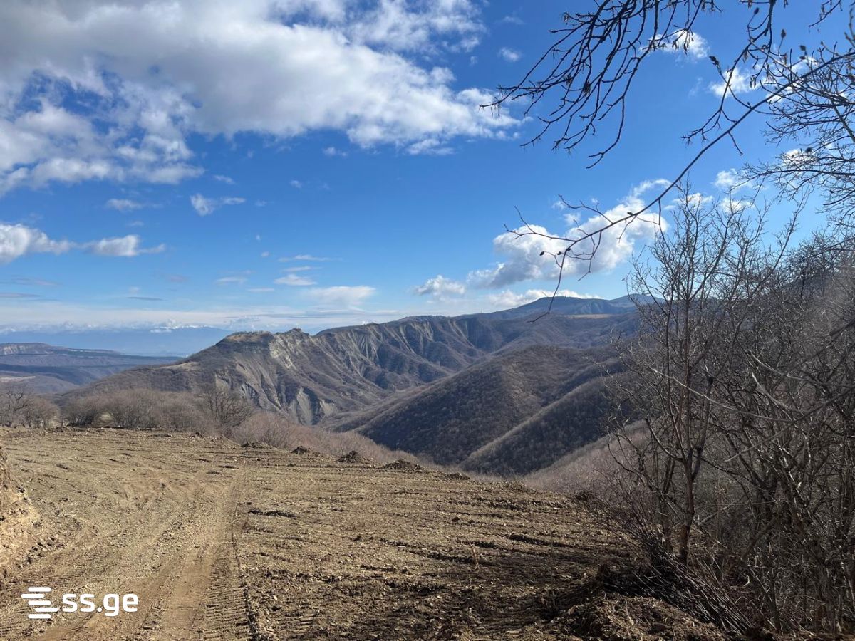 Land For Sale. Orbeti view 10