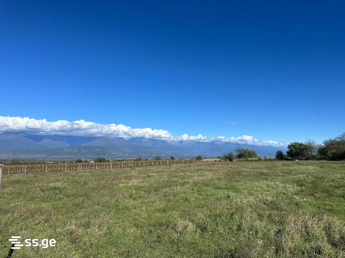 Land For Sale. Telavi, 1 of 4