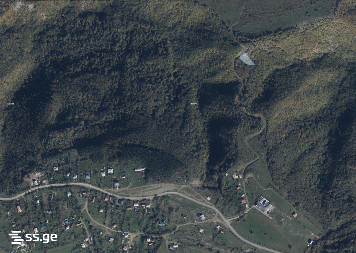 Land For Sale. Orbeti view 1