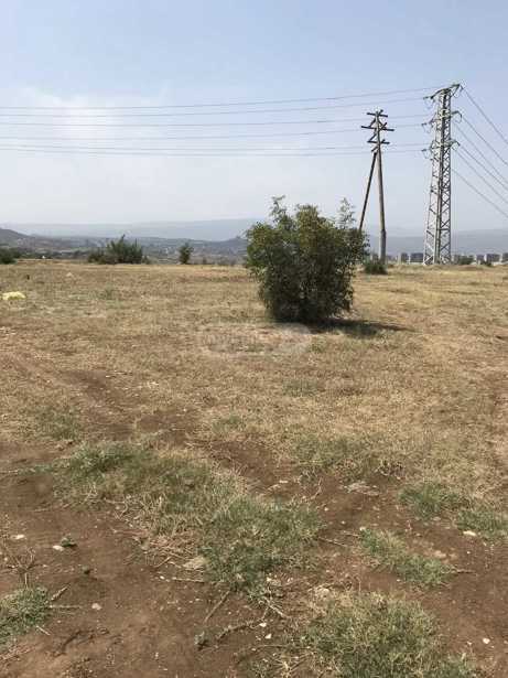 https://static.ss.ge/20260624/5_27351516-e5f8-41f3-9dca-3fdaa68ecede_Thumb.jpg
