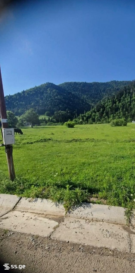For Sale Sasoplo-Sameurneo Land Plot Borjomshi view 9